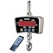 CAS IE-2000C IE Series Economy Digital Crane Scale, 2000lb x 1 lb LCD