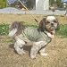 �h�M�[�}���@���C���E�F�A�@3��