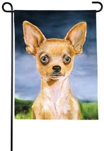 image link -  - B0002TXDF8