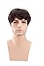 Kalyss men's Short Brown wig