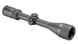 Bushnell