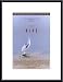 Wind by unknown 17.00X11.00 Framed with Black Metal Frame