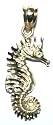 14k Large Sea Horse Charm