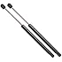 4365 Jeep Liberty Glass Lift Support Strut 2002-05, Set of 2