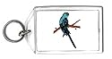 Keychain with branch, bird, budgie