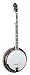 Recording King The Professional Resonator Banjo