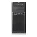 ML150G6 E5504 2GB/250GB Server