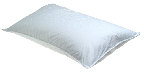 Kitchen: Pacific Coast Feather Slumber Core Pillow