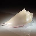 Treg Silkwood Large Shell Sculpture