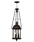 Capitol Dark Sky Outdoor Hanging Lantern in Forum Bronze