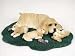 cocker spaniel - COCKER SPANIEL Blond Mom n Pup Dog Big FIGURINE DCL15C