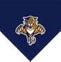 NHL Florida Panthers Fleece Throw Blanket