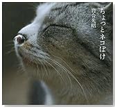 ちょっとネコぼけ