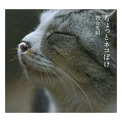 ������ƃl�R�ڂ�