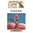 Buy Animal Life for Children : ALL ABOUT BIRDS