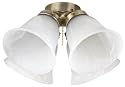 Westinghouse 77804 4 Light Antique Brass Alabaster Bell Light Kit