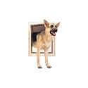Ultimate Dog Door - Extra Large