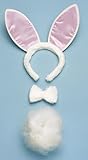 Sexy Bunny Costume Accessory Kit