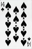 Review United States Playing Card Company  / 14 of Spades - Jumbo Bicycle Back
