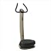 31B3fTwm87L. SL75  Best Home Fitness Equipment ? Vibration Plates