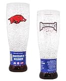 Arkansas Razorbacks Crystal Pilsner Glass - College Athletics Sports Merchandise