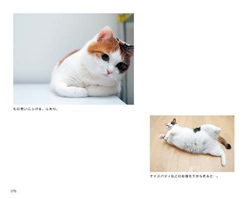 Cover image : そらとぶねこ