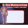 Das Muskelsystem in Lernk�rtchen