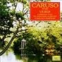 Sings Verdi