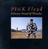 Delicate Sound of Thunder