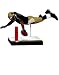 NCAA 2010 Series 2 Larry Fitzgerald Pittsburgh Panthers