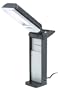 Ott-Lite L13338 VisionSaver Portable Magnifier Lamp