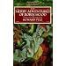 Books for Young Adults
