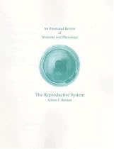 An Illustrated Review of the Reproductive System