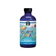 Children's DHA by Nordic Naturals 8 Fluid Ounces Children's DHA by Nordic Naturals 8 Fluid Ounces