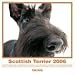 The Dog Scottish Terrier 2006 Calendar (Artlist Collection)
