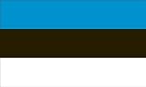 America's Flag Company FF2X3NEST1 2-Foot by 3-Foot Nylon Estonia Flag