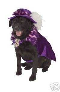 Dog Fancy Dress Costume Pimp Daddy - Size Medium 