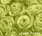 LANTERN PARADE