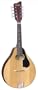 Mandolin from Amigo