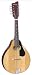 Mandolin from Amigo