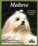 Barrons Books Maltese Manual