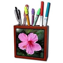 Flowers - Pink Hibiscus - Tile Pen Holders-5 inch tile pen holder