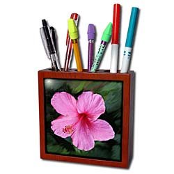 Flowers - Pink Hibiscus - Tile Pen Holders-5 inch tile pen holder