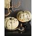 Martha Stewart Crafts Elegant Witch Pumpkin Transfers