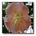 Macros Angel Trumpet An Orange Flower - 10x10 Wall Clock