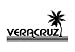 Veracruz Vintage Palm Toddler T-Shirt