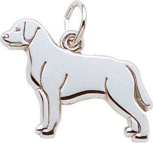 Childrens Toyshop  Jewelry : Labrador Retriever Charm by Rembrandt Charms