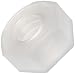 PVDF Hex Nut