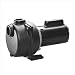 Wayne WLS150 1-1/2-Horsepower Cast Iron Lawn Sprinkling Pump