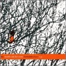 Forbidden Love by  Death Cab For Cutie 